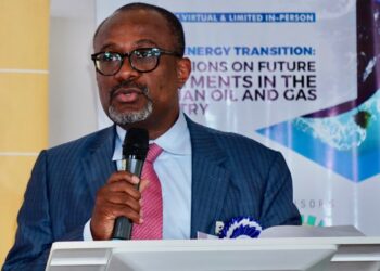 Women Best Positioned To Drive Nigerian Govt's LPG Acceptability Goals - NCDMB Boss