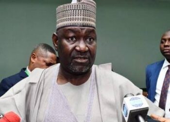 Nigerian Govt Blames Vandals For Collapse Of National Grid