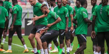 NFF To Name New Coaches For Super Eagles, Flying Eagles, Golden Eaglets