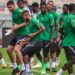 NFF To Name New Coaches For Super Eagles, Flying Eagles, Golden Eaglets