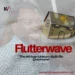 Flutterwave: The African Unicorn Built On Quicksand