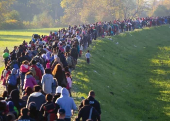 Tens Of Thousands Of Ukrainians Still Fleeing War – UN