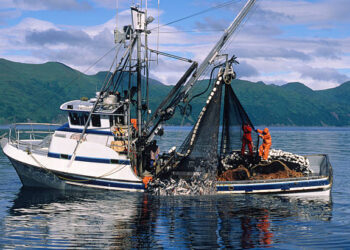 11 Ghanaians Missing As Chinese Fishing Vessel Sinks In Elimina