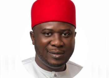 Gunmen Kidnap YPP State House of Assembly Aspirant In Anambra
