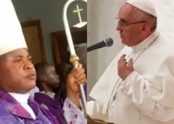 Pope Appoints Rejected Imo Bishop As Cardinal