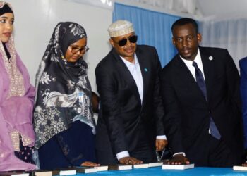 Somalia: Lawmakers Vote To Choose President After 15 Months Delay