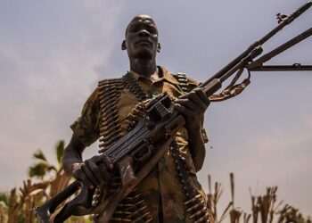 EU Removes Zimbabwe Defence Industries from Sanctions List, Retains Arms Ban