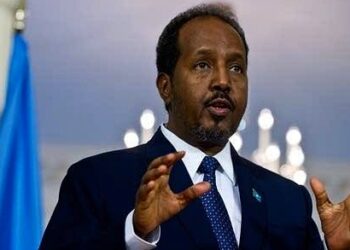 Somalia's President Urges Support For Direct Voting Proposal