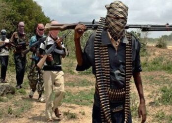 Nigeria: Bandits Gun Down 3 PDP Delegates In Niger State