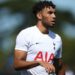 NFF Weighing Up Super Eagles Call- Up For Spurs Star