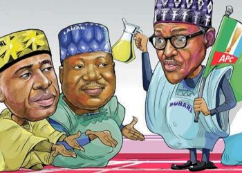 APC Guinea Corn and Buhari’s Rain