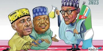 APC Guinea Corn and Buhari’s Rain