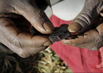 Nigeria: Over 2m Girls At Risk Of Genital Mutilation