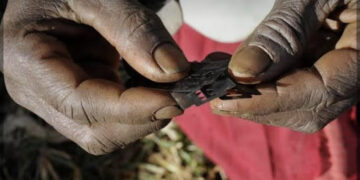 Nigeria: Over 2m Girls At Risk Of Genital Mutilation