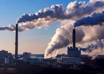 Africa Must Shun Trump’s Push To Resurrect Coal