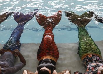 Mermaiding Gains Traction In South Africa