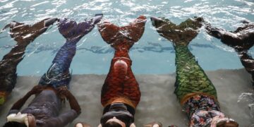 Mermaiding Gains Traction In South Africa