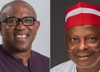Nigeria NNPP, Labour Party Plan Merger For Peter Obi, Kwankwaso Presidential Ticket
