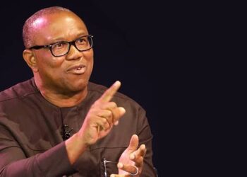 Nigeria 2023: Adeyanju Charges Peter Obi To Synergise To Defeat Twin Monsters Of PDP, APC