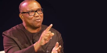 Nigeria 2023: Adeyanju Charges Peter Obi To Synergise To Defeat Twin Monsters Of PDP, APC