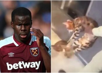 Kurt Zouma Sentenced To 180 Hours Of Community Service For Kicking Cat