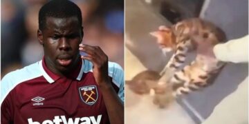 Kurt Zouma Sentenced To 180 Hours Of Community Service For Kicking Cat