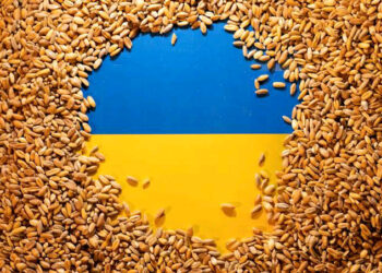 Ukraine To Ship Stranded Grains After Agreement With Russia In Istanbul