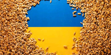 Ukraine Holds Talks With Turkey, UN On Exportation Of Its Stranded 22 Million Grain Tonnes