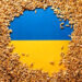 Ukraine Holds Talks With Turkey, UN On Exportation Of Its Stranded 22 Million Grain Tonnes