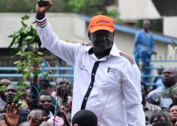 Kenya Polls: Odinga Takes Campaign To Hometown, Promises Poverty Alleviation, Corruption Fight