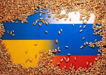 Global Food Crisis Looms As Russia Ends Black Sea Grain Initiative