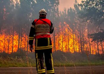Firefighters Battle Huge Forest Blaze As Wildfires Rage Across Europe