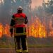Firefighters Battle Huge Forest Blaze As Wildfires Rage Across Europe