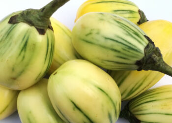 9 Health Benefits Of Garden Egg