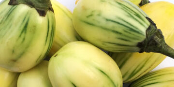 9 Health Benefits Of Garden Egg