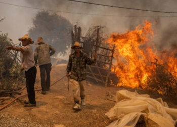 Morocco: Villagers Flee As Firefighters Battle Infernos Ripping Through Forests