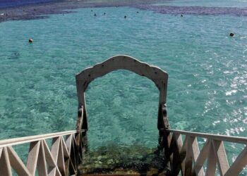 Egypt Orders Closure Of Red Sea Beaches As Australian Woman Dies In Shark Attack