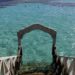 Egypt Orders Closure Of Red Sea Beaches As Australian Woman Dies In Shark Attack