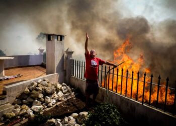 Over 3,000 Fighters Activated As Portugal Battles Wildfires, Drought