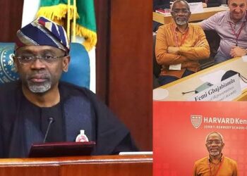 Nigeria's Speaker Apologises For 'Insensitive' Harvard School Photos