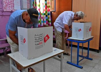 Tunisians Vote On Constitution Expanding President's Power