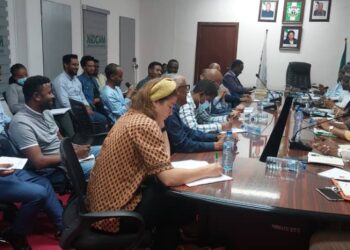 Migration Is A Catalyst For Development – Dabiri-Erewa