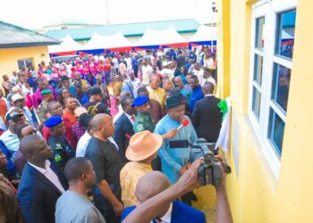 Nigeria: Projects By Bayelsa Councils Result Of Autonomy – Diri