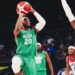FIBA World Cup Qualifiers: Nigeria Invite 15 Players, To Face Angola, Others