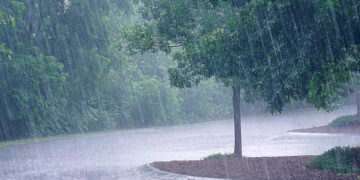 Nigeria: Meteorological Agency Warns Of Heavy Floods In Northern Nigeria, Parts Of Niger Delta