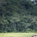 African Nations Push For An End To Climate Injustice Ahead Of COP27