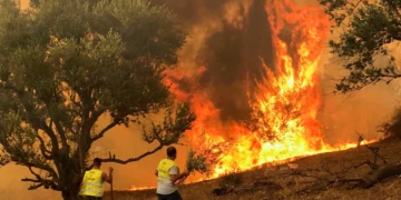26 Dead As Forest Fires Spread In Algeria