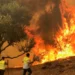 26 Dead As Forest Fires Spread In Algeria