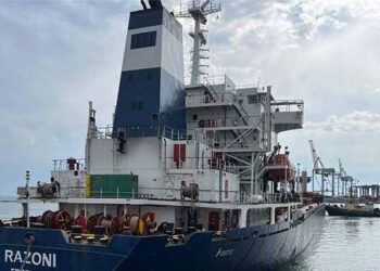 First Grain Ship Leaves Ukraine Under Russia Deal