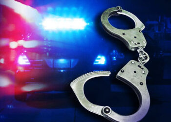 Sri Lanka: Man Remanded In Custody For Sitting On President’s Chair, Taking Pictures